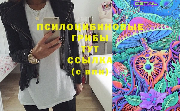 2c-b Дмитровск