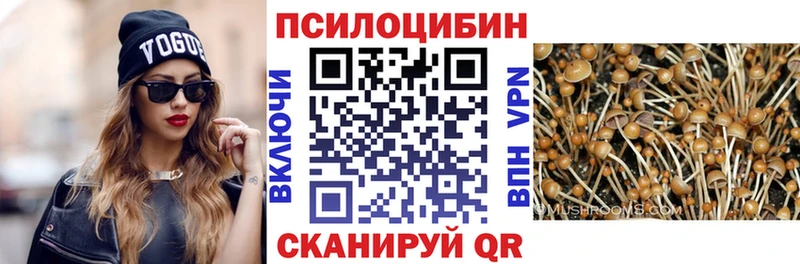 Псилоцибиновые грибы Psilocybe  Купить закладки  Касли 
